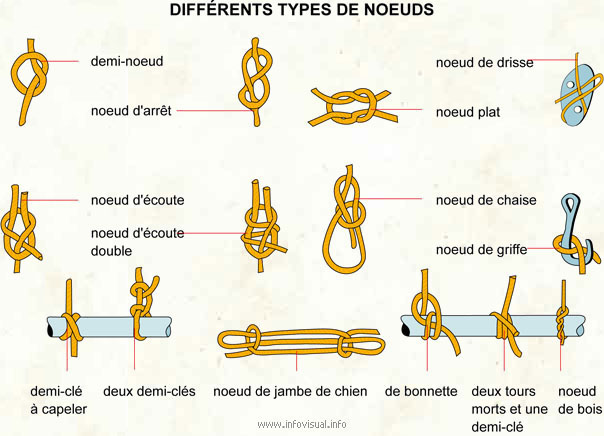 Différents types de nœuds